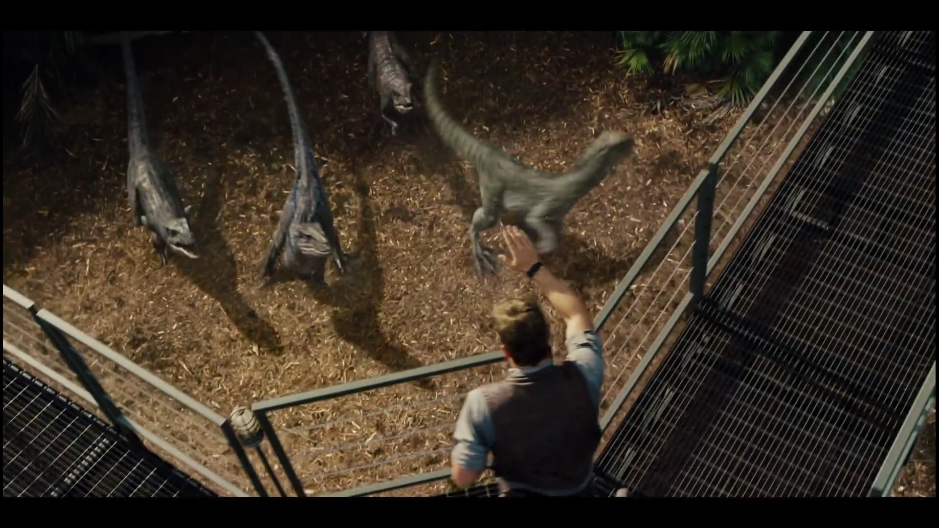 Jurassic World Special Room Service Scene 6