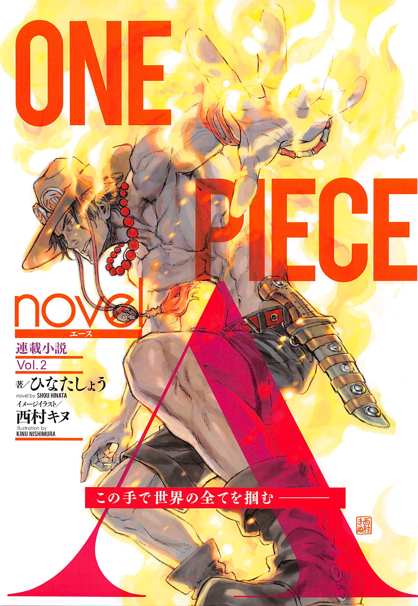 One piece novel. Novel Ace. Ван Пис стекло. Ван Пис Вероника.