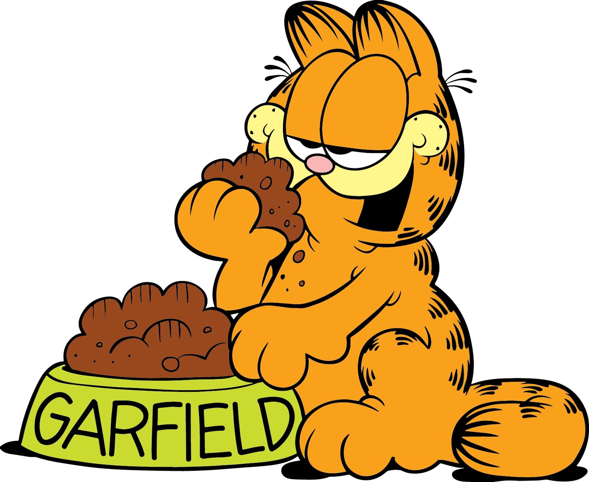 Do You Like Garfield and Friends? 