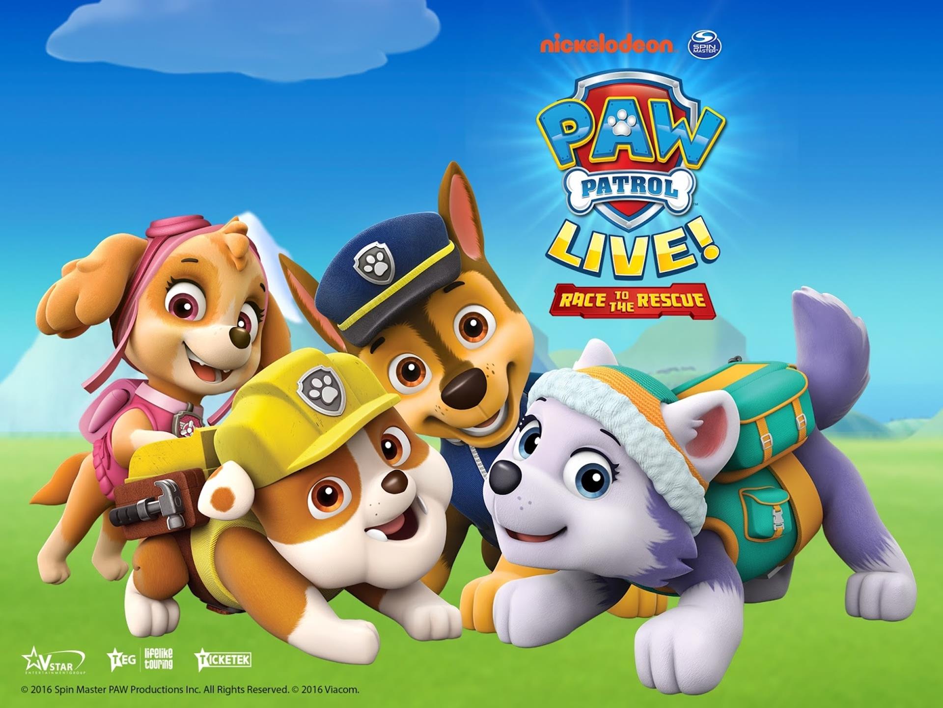 Paw patrol игры. Пав Патрол Щенячий патруль. Paw Patrol 2013.