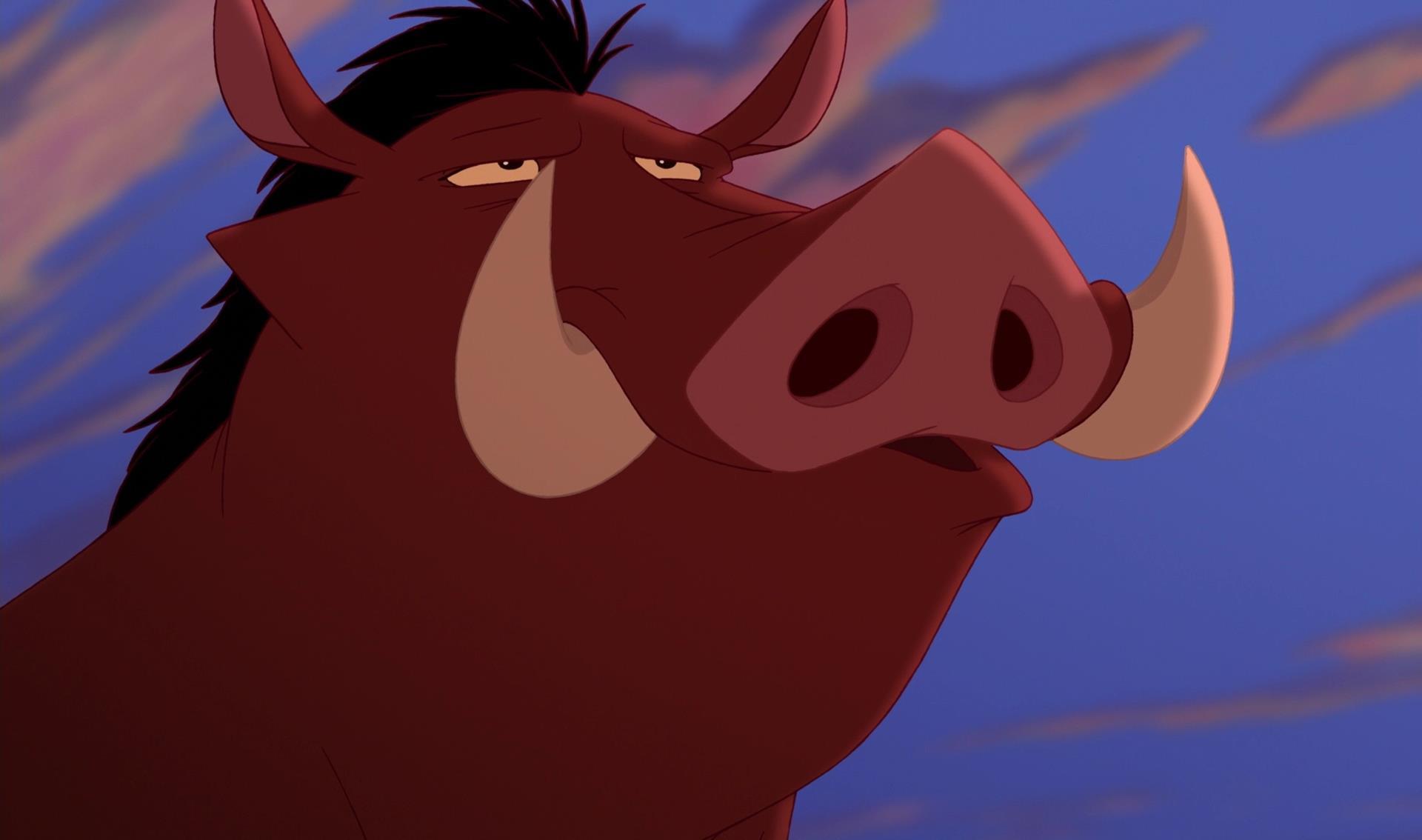 Do You Like Timon Pumbaa? 