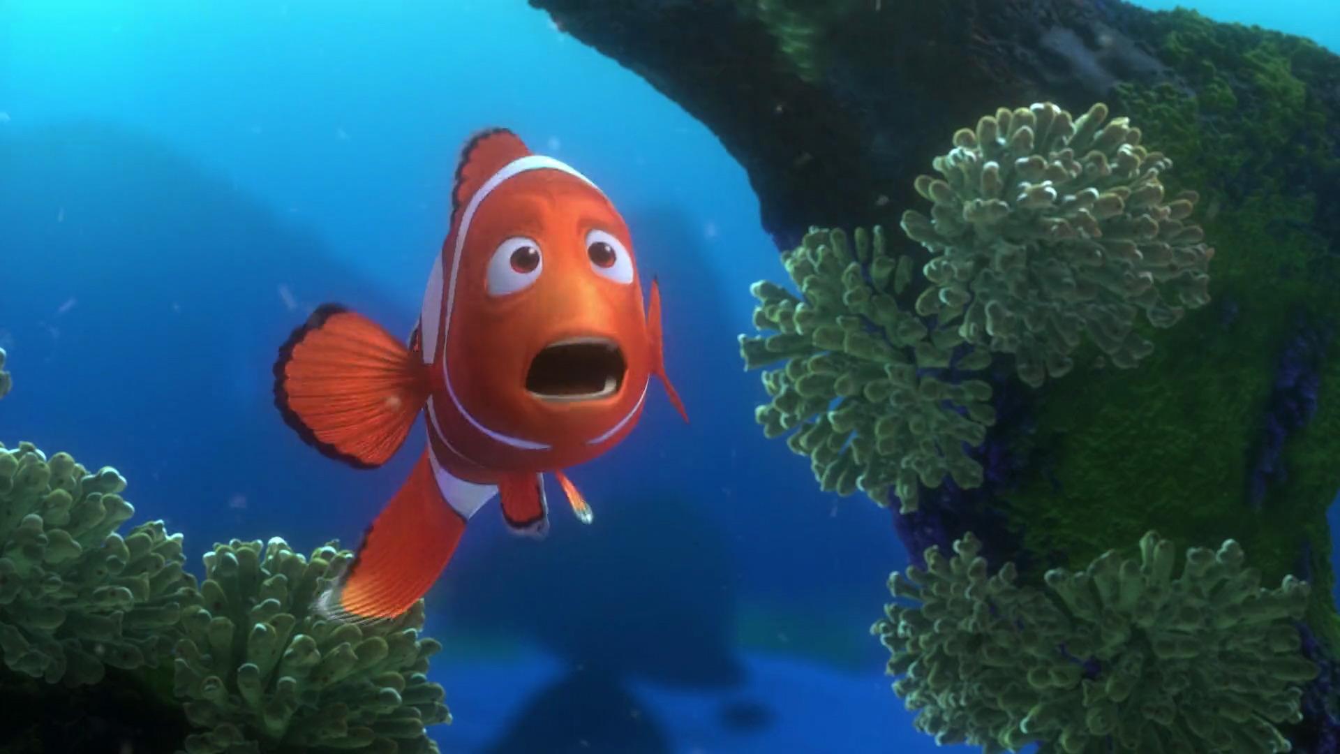 Do You Like Finding Nemo? 